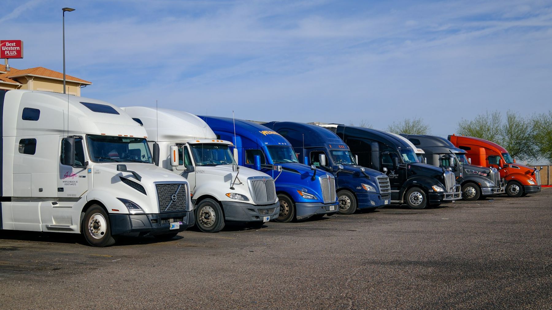 A row of semi trucks parked side by side under a clear sky